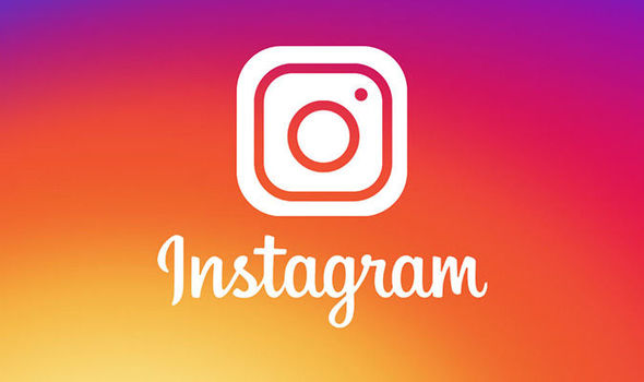 Want to Accurately Acquire Effective User Data? Instagram Category Data Can Help You Do It